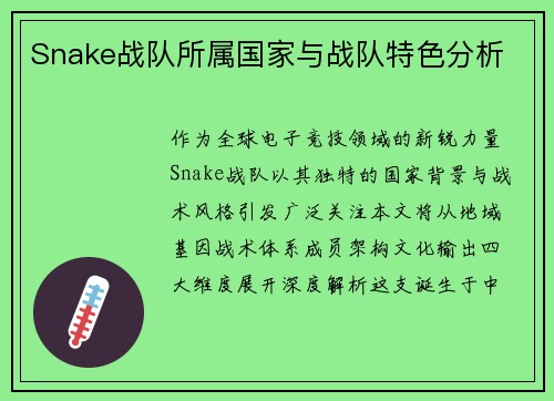 Snake战队所属国家与战队特色分析